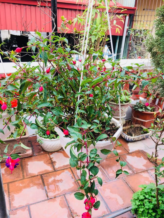 Lee'S Family Homestay Hà Nội Ngoại thất bức ảnh